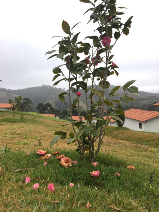 Alternativa Sitio Conceição da Ibitipoca