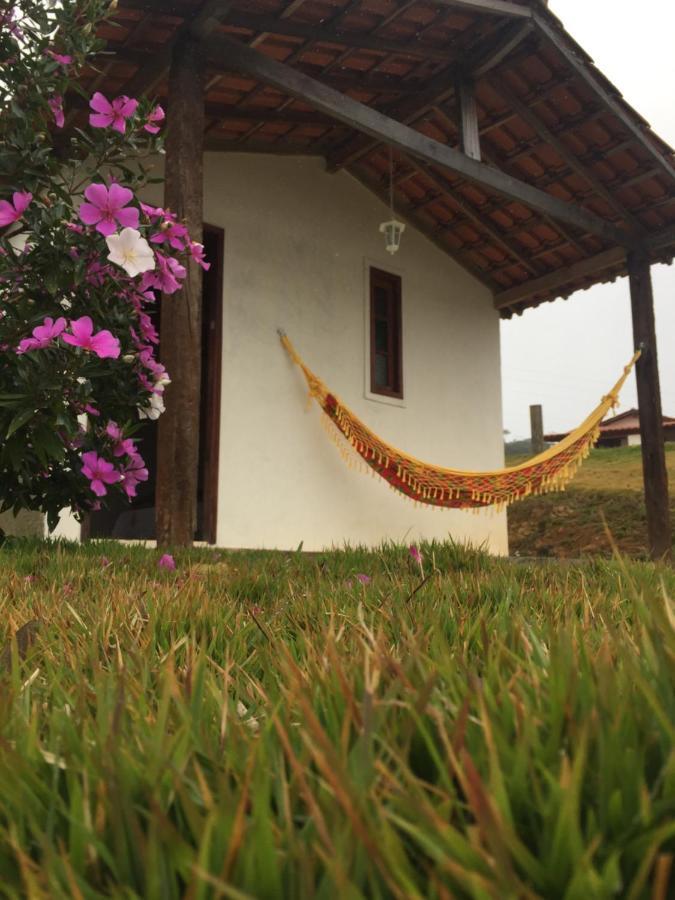 Alternativa Sitio